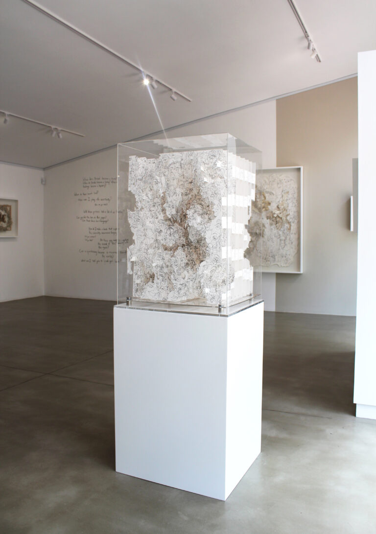 OM Graskie Where do these Tunnels lead x